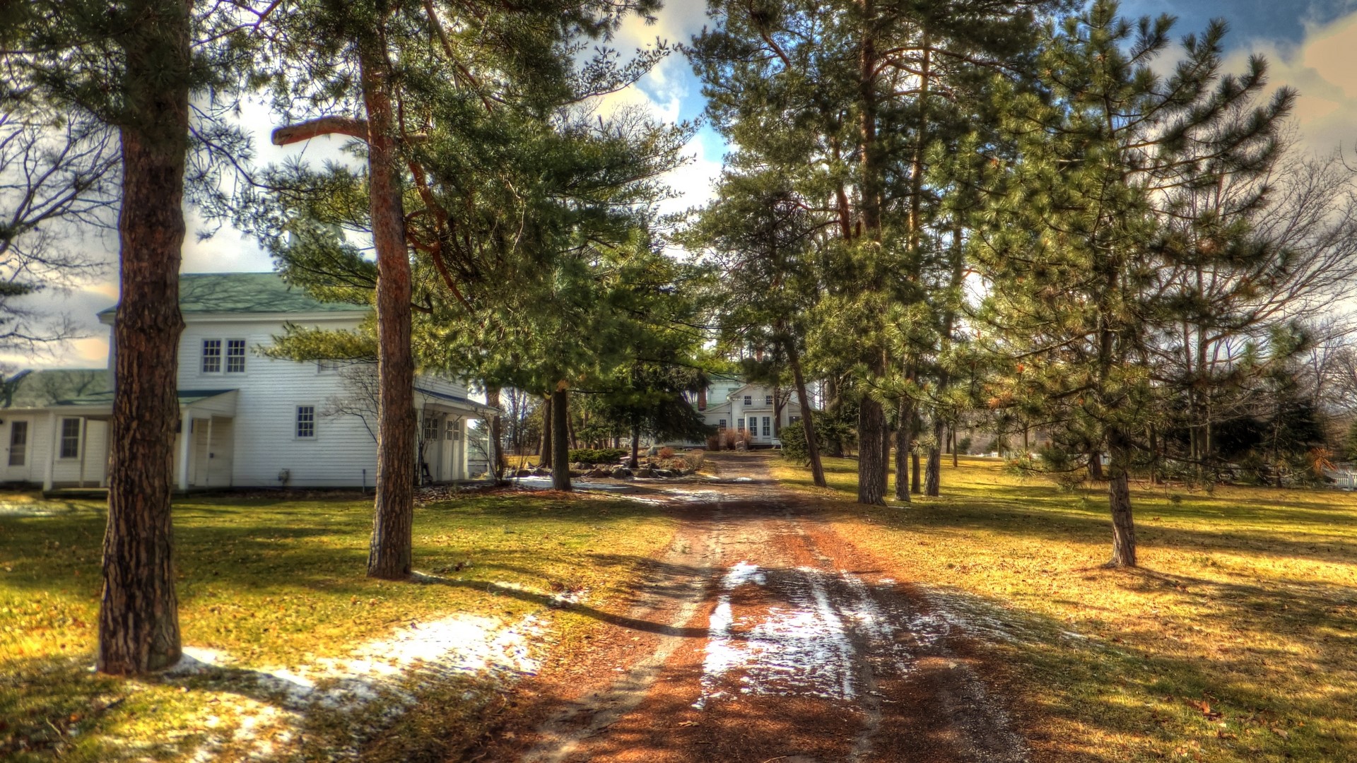 A picture a dirt driveway, leading to an house surrounded by trees.